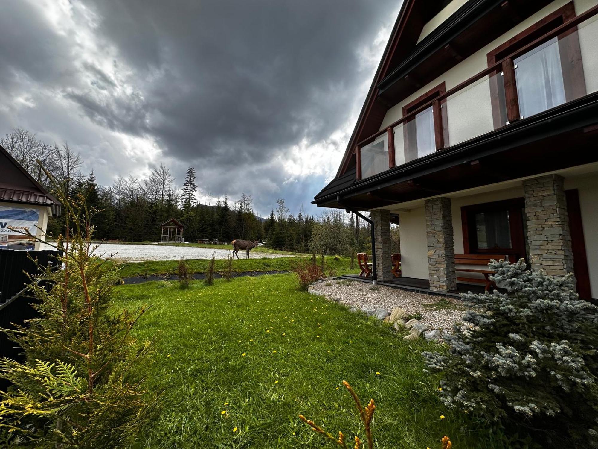 Apartamenty Willa Nika Zakopane Esterno foto
