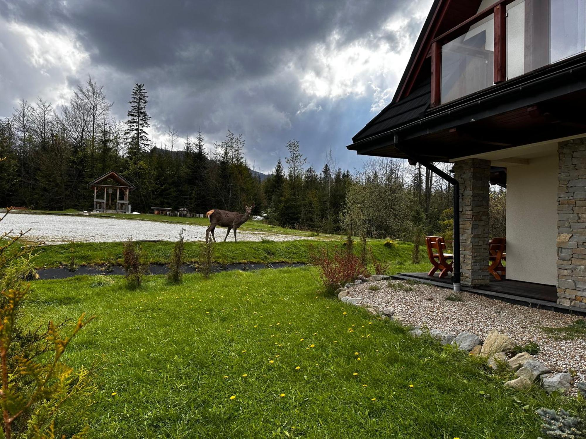 Apartamenty Willa Nika Zakopane Esterno foto
